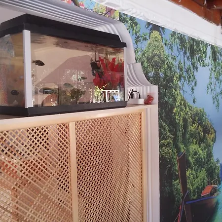 Uc Mevsim 3* Ντιντίμ